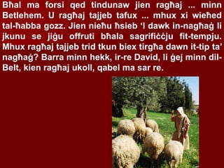Bħal ma forsi qed tindunaw jien ragħaj ... minn
Betlehem. U ragħaj tajjeb tafux ... mhux xi wieħed
tal-ħabba gozz. Jien nieħu ħsieb ‘l dawk in-nagħaġ li
jkunu se jiġu offruti bħala sagrifiċċju fit-tempju.
Mhux ragħaj tajjeb trid tkun biex tirgħa dawn it-tip ta’
nagħaġ? Barra minn hekk, ir-re David, li ġej minn dil-
Belt, kien ragħaj ukoll, qabel ma sar re.
 