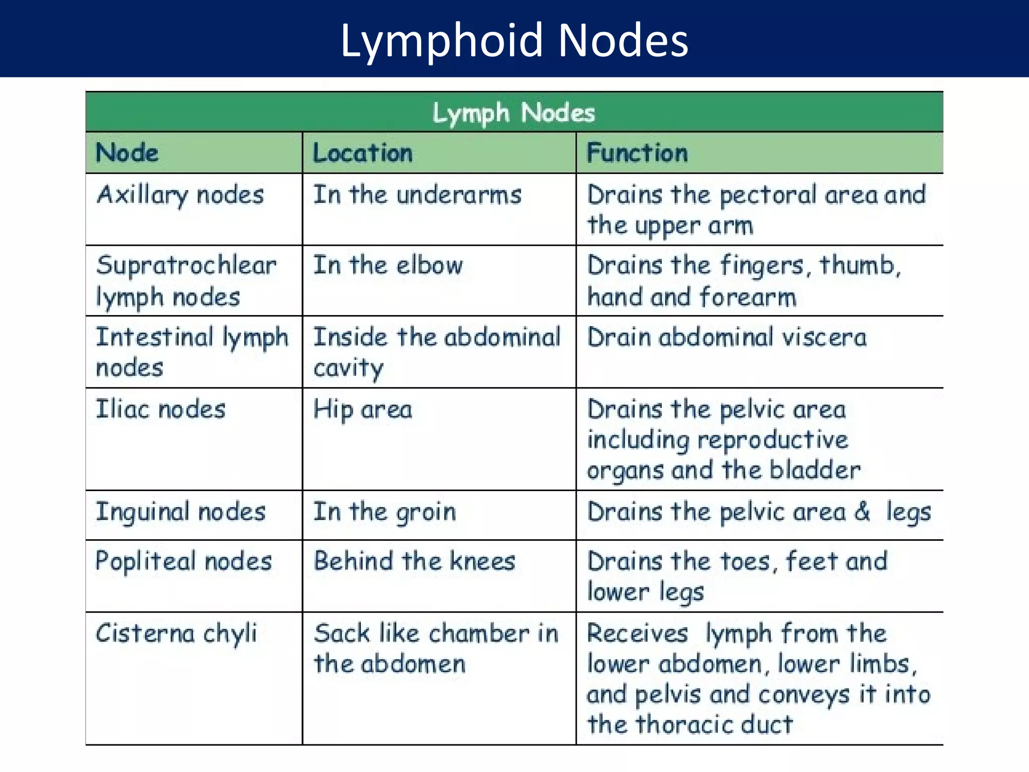 Lymphoid Nodes
 