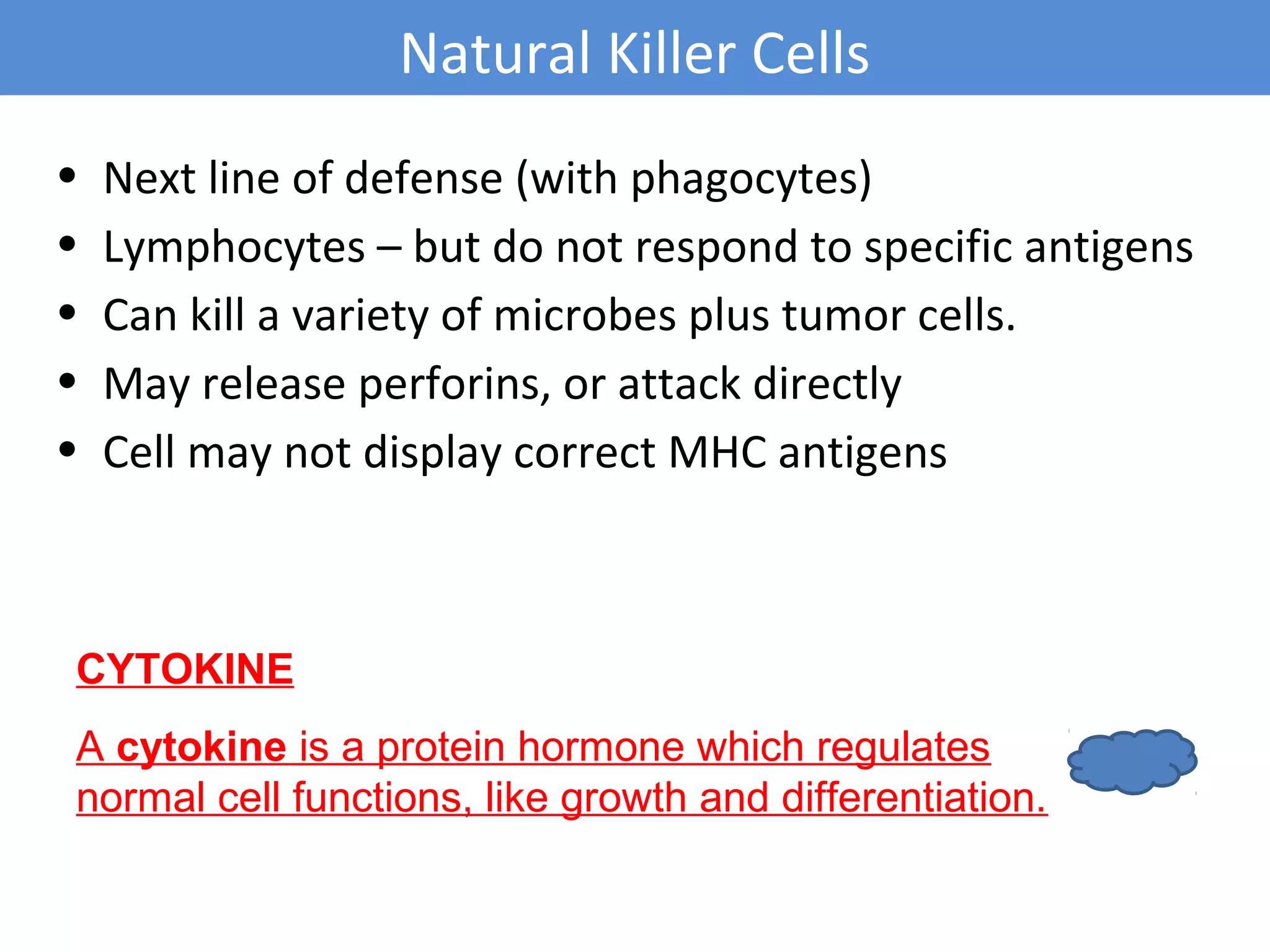 • Next line of defense (with phagocytes)
• Lymphocytes – but do not respond to specific antigens
• Can kill a variety of microbes plus tumor cells.
• May release perforins, or attack directly
• Cell may not display correct MHC antigens
Natural Killer Cells
CYTOKINE
A cytokine is a protein hormone which regulates
normal cell functions, like growth and differentiation.
 