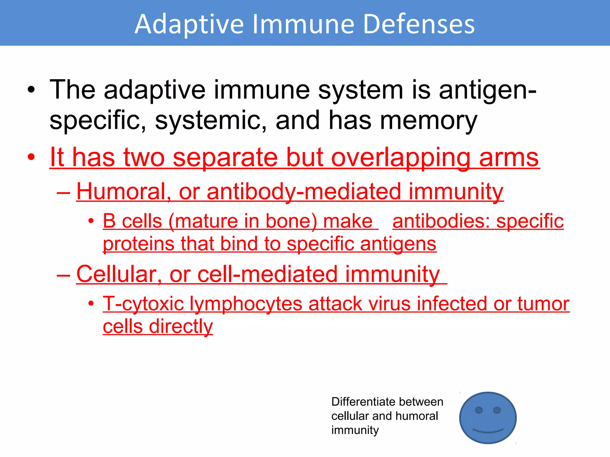 • The adaptive immune system is antigen-
specific, systemic, and has memory
• It has two separate but overlapping arms
– Humoral, or antibody-mediated immunity
• B cells (mature in bone) make antibodies: specific
proteins that bind to specific antigens
– Cellular, or cell-mediated immunity
• T-cytoxic lymphocytes attack virus infected or tumor
cells directly
Adaptive Immune Defenses
Differentiate between
cellular and humoral
immunity
 
