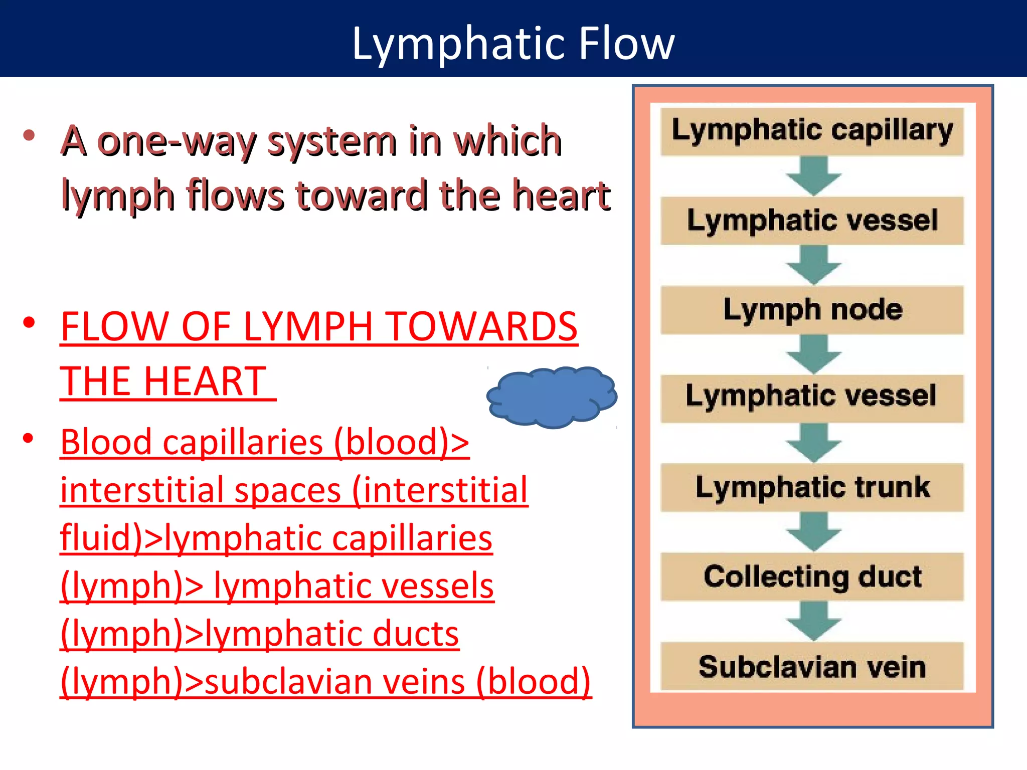 • A one-way system in whichA one-way system in which
lymph flows toward the heartlymph flows toward the heart
• FLOW OF LYMPH TOWARDS
THE HEART
• Blood capillaries (blood)>
interstitial spaces (interstitial
fluid)>lymphatic capillaries
(lymph)> lymphatic vessels
(lymph)>lymphatic ducts
(lymph)>subclavian veins (blood)
Lymphatic Flow
 