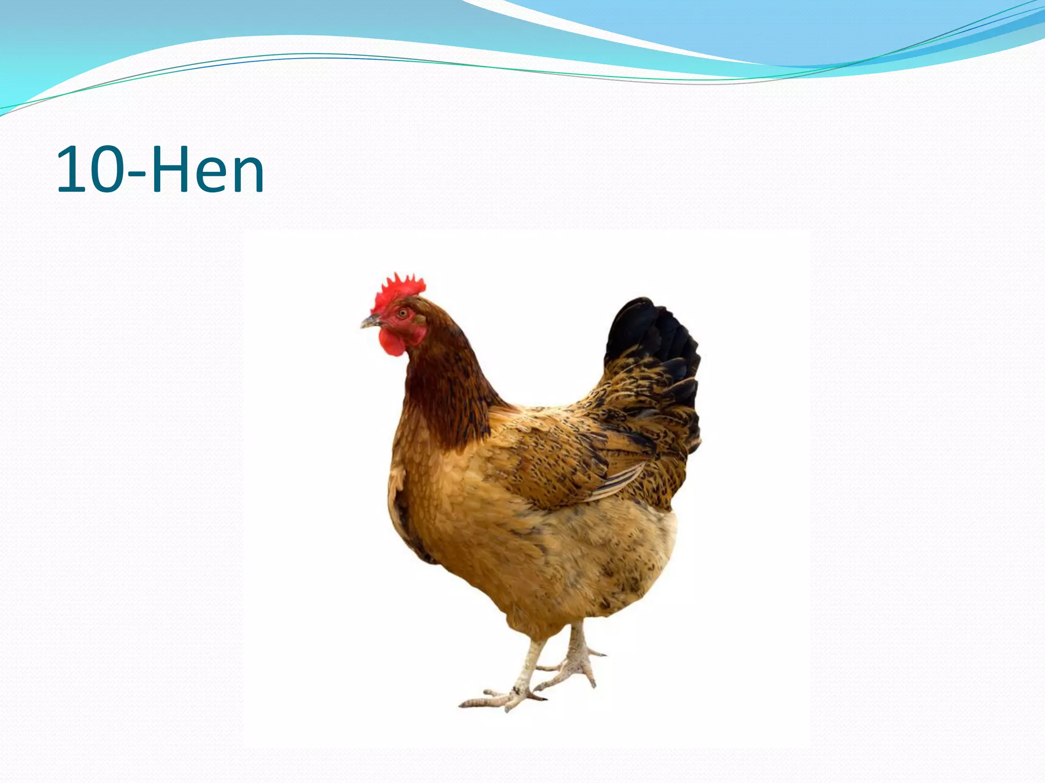10-Hen
 