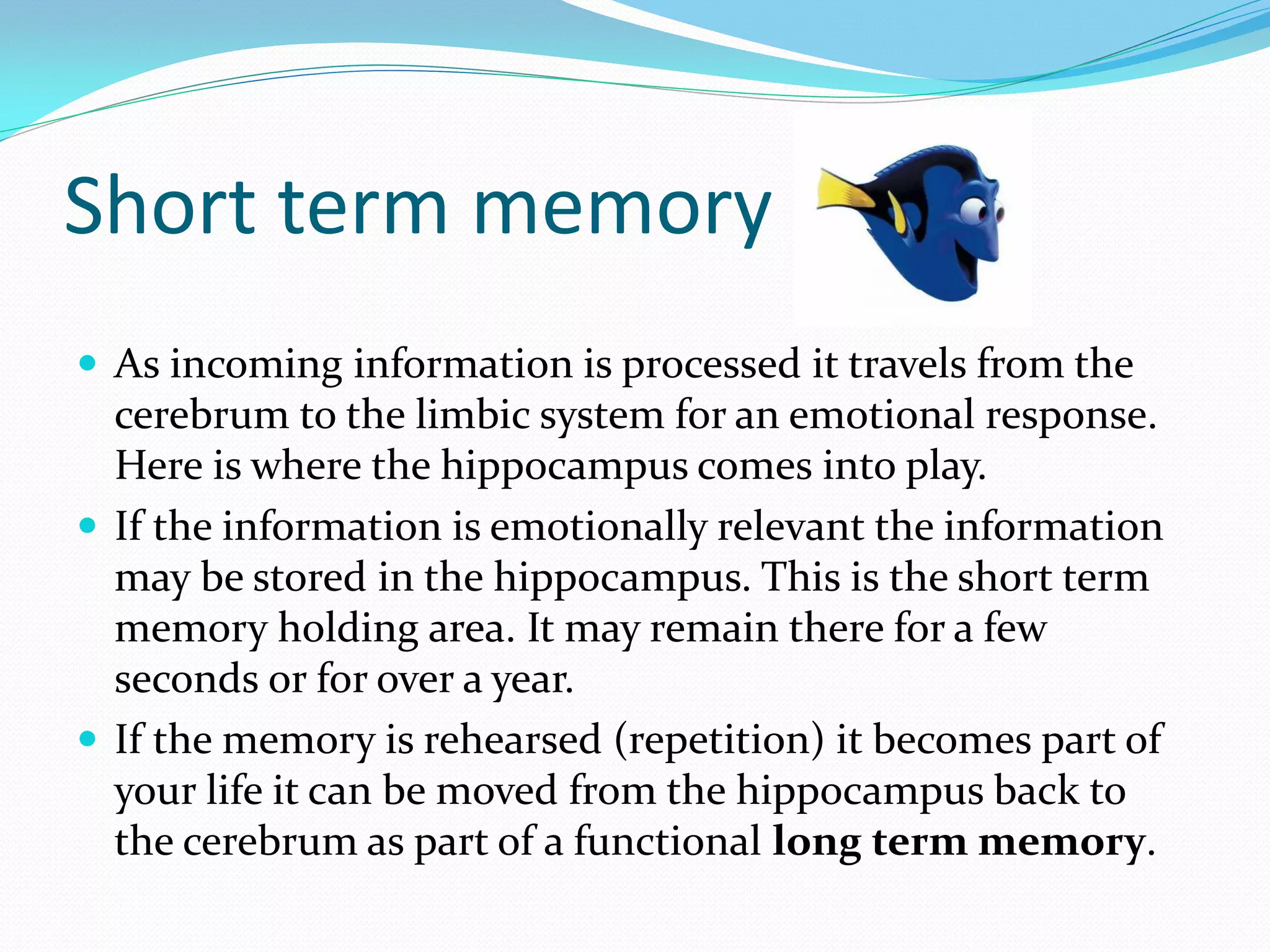 Short term memory
 As incoming information is processed it travels from the
  cerebrum to the limbic system for an emotional response.
  Here is where the hippocampus comes into play.
 If the information is emotionally relevant the information
  may be stored in the hippocampus. This is the short term
  memory holding area. It may remain there for a few
  seconds or for over a year.
 If the memory is rehearsed (repetition) it becomes part of
  your life it can be moved from the hippocampus back to
  the cerebrum as part of a functional long term memory.
 
