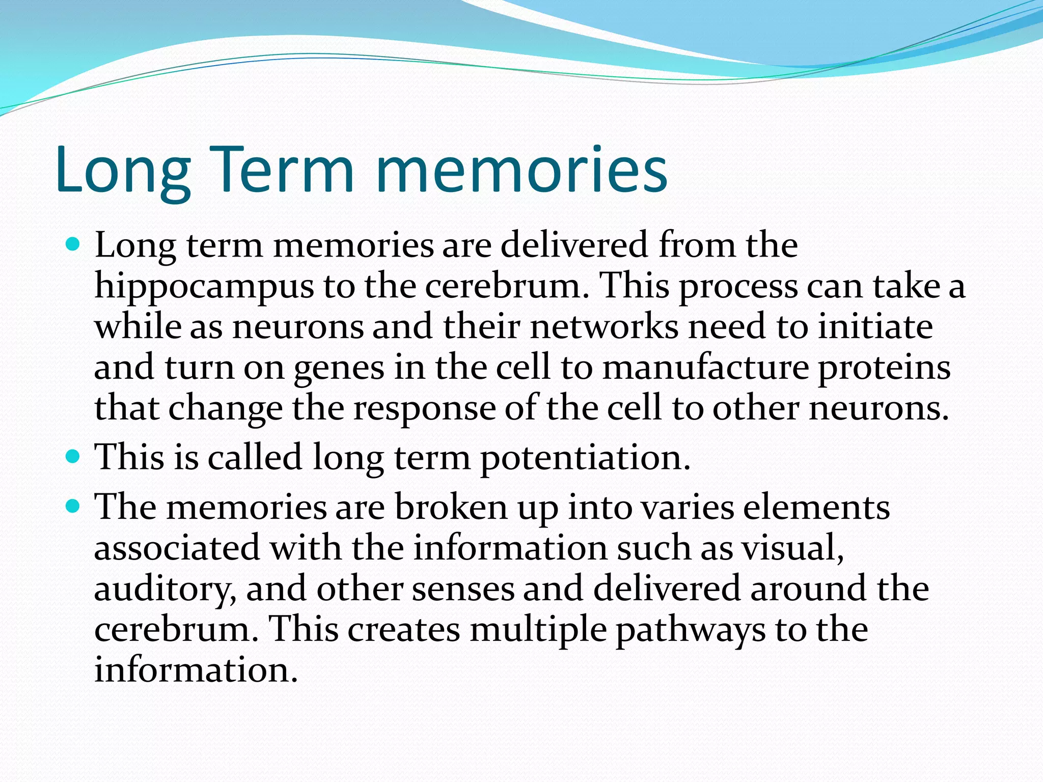 Long Term memories
 Long term memories are delivered from the
  hippocampus to the cerebrum. This process can take a
  while as neurons and their networks need to initiate
  and turn on genes in the cell to manufacture proteins
  that change the response of the cell to other neurons.
 This is called long term potentiation.
 The memories are broken up into varies elements
  associated with the information such as visual,
  auditory, and other senses and delivered around the
  cerebrum. This creates multiple pathways to the
  information.
 