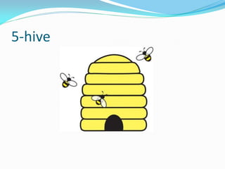 5-hive
 