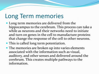 Long Term memories
 Long term memories are delivered from the
  hippocampus to the cerebrum. This process can take a
  while as neurons and their networks need to initiate
  and turn on genes in the cell to manufacture proteins
  that change the response of the cell to other neurons.
 This is called long term potentiation.
 The memories are broken up into varies elements
  associated with the information such as visual,
  auditory, and other senses and delivered around the
  cerebrum. This creates multiple pathways to the
  information.
 