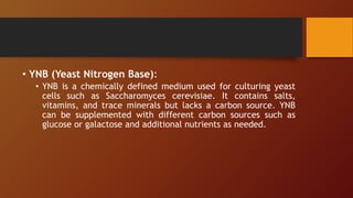 • YNB (Yeast Nitrogen Base):
• YNB is a chemically defined medium used for culturing yeast
cells such as Saccharomyces cerevisiae. It contains salts,
vitamins, and trace minerals but lacks a carbon source. YNB
can be supplemented with different carbon sources such as
glucose or galactose and additional nutrients as needed.
 