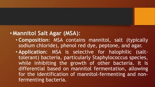 •Mannitol Salt Agar (MSA):
• Composition: MSA contains mannitol, salt (typically
sodium chloride), phenol red dye, peptone, and agar.
• Application: MSA is selective for halophilic (salt-
tolerant) bacteria, particularly Staphylococcus species,
while inhibiting the growth of other bacteria. It is
differential based on mannitol fermentation, allowing
for the identification of mannitol-fermenting and non-
fermenting bacteria.
 