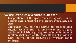 •Xylose Lysine Deoxycholate (XLD) Agar:
• Composition: XLD agar contains xylose, lysine,
deoxycholate, phenol red dye, sodium thiosulfate, and
agar.
• Application: XLD agar is selective for gram-negative
enteric bacteria such as Salmonella and Shigella
species while inhibiting the growth of other bacteria. It
is differential based on the fermentation of xylose and
lysine, as well as the production of hydrogen sulfide
(H2S) gas.
 