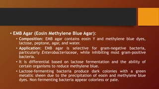 • EMB Agar (Eosin Methylene Blue Agar):
• Composition: EMB agar contains eosin Y and methylene blue dyes,
lactose, peptone, agar, and water.
• Application: EMB agar is selective for gram-negative bacteria,
particularly Enterobacteriaceae, while inhibiting most gram-positive
bacteria.
• It is differential based on lactose fermentation and the ability of
certain organisms to reduce methylene blue.
• Lactose-fermenting bacteria produce dark colonies with a green
metallic sheen due to the precipitation of eosin and methylene blue
dyes. Non-fermenting bacteria appear colorless or pale.
 