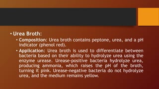 • Urea Broth:
• Composition: Urea broth contains peptone, urea, and a pH
indicator (phenol red).
• Application: Urea broth is used to differentiate between
bacteria based on their ability to hydrolyze urea using the
enzyme urease. Urease-positive bacteria hydrolyze urea,
producing ammonia, which raises the pH of the broth,
turning it pink. Urease-negative bacteria do not hydrolyze
urea, and the medium remains yellow.
 