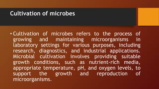 Cultivation of microbes
• Cultivation of microbes refers to the process of
growing and maintaining microorganisms in
laboratory settings for various purposes, including
research, diagnostics, and industrial applications.
Microbial cultivation involves providing suitable
growth conditions, such as nutrient-rich media,
appropriate temperature, pH, and oxygen levels, to
support the growth and reproduction of
microorganisms.
 