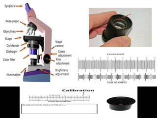R.VIJAYAKUMAR ., M Pharm., Asst Professor,Dept of
Pharmaceutics,VCP,Erode.
16
 