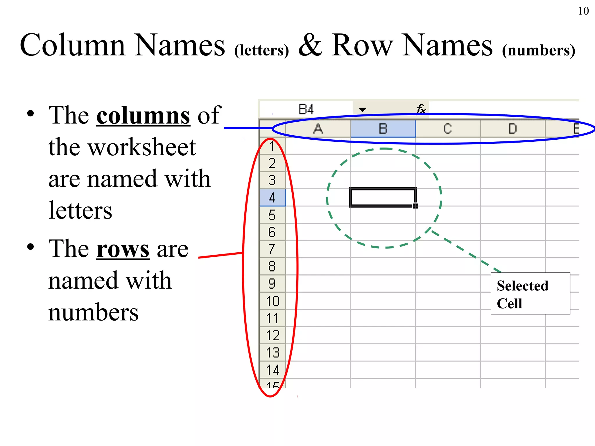 10

Column Names (letters) & Row Names (numbers)
• The columns of
the worksheet
are named with
letters
• The rows are
named with
numbers

Selected
Cell

 