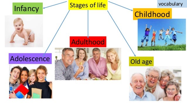 The Life Stage Of Adolescence