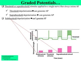 Unit=4=Nervous system Physiology=AAU=2017 [Recovered].pdf