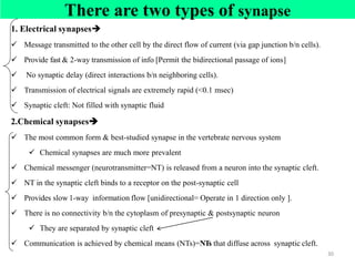 Unit=4=Nervous system Physiology=AAU=2017 [Recovered].pdf
