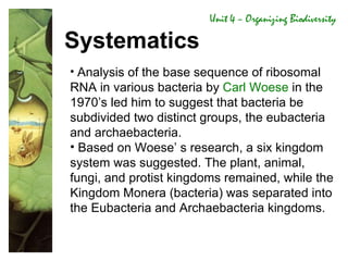 Unit 4 Notes | PPT