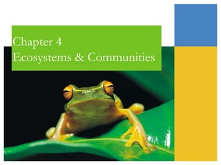 Chapter 4
Ecosystems & Communities

 