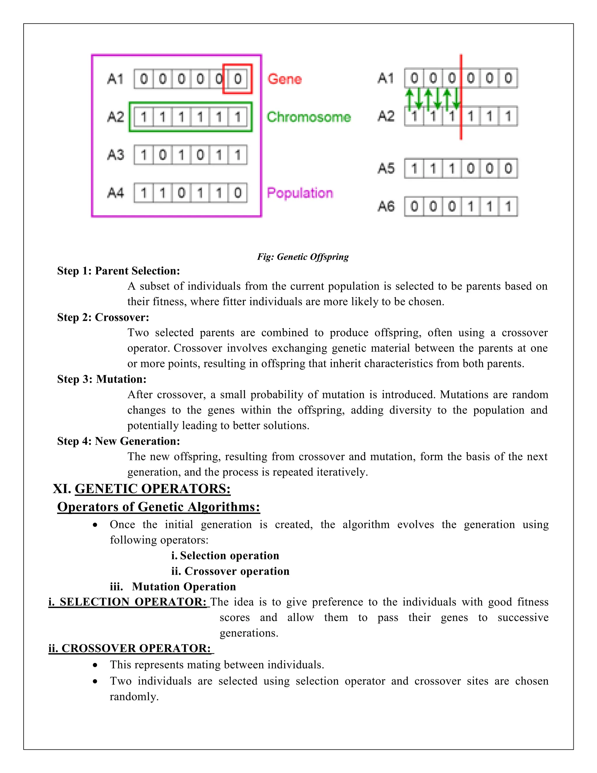 Fig: Genetic Offspring
Step 1: Parent Selection:
A subset of individuals from the current population is selected to be parents based on
their fitness, where fitter individuals are more likely to be chosen.
Step 2: Crossover:
Two selected parents are combined to produce offspring, often using a crossover
operator. Crossover involves exchanging genetic material between the parents at one
or more points, resulting in offspring that inherit characteristics from both parents.
Step 3: Mutation:
After crossover, a small probability of mutation is introduced. Mutations are random
changes to the genes within the offspring, adding diversity to the population and
potentially leading to better solutions.
Step 4: New Generation:
The new offspring, resulting from crossover and mutation, form the basis of the next
generation, and the process is repeated iteratively.
XI. GENETIC OPERATORS:
Operators of Genetic Algorithms:
 Once the initial generation is created, the algorithm evolves the generation using
following operators:
i. Selection operation
ii. Crossover operation
iii. Mutation Operation
i. SELECTION OPERATOR: The idea is to give preference to the individuals with good fitness
scores and allow them to pass their genes to successive
generations.
ii. CROSSOVER OPERATOR:
 This represents mating between individuals.
 Two individuals are selected using selection operator and crossover sites are chosen
randomly.
 