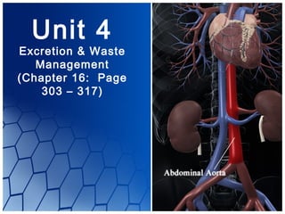 Unit 4
Excretion & Waste
   Management
(Chapter 16: Page
    303 – 317)
 