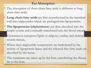 Comprehensive Overview of Fats: Types, Functions, and Metabolism | PPTX