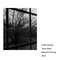 Collin Decker 
“bare trees” 
Element framing 
2014 
 