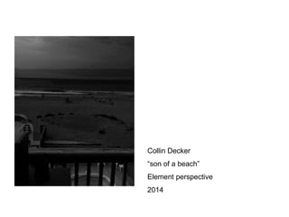 Collin Decker 
“son of a beach” 
Element perspective 
2014 
 