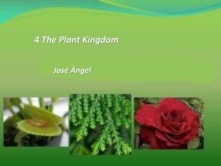 4 The Plant Kingdom
José Ángel
 