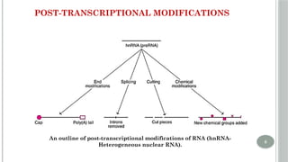 Post Replicative Modification UNIT 4 Post transcriptional Modifications of RNA.pptx