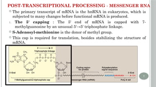 UNIT 4 Post transcriptional Modifications of RNA.pptx