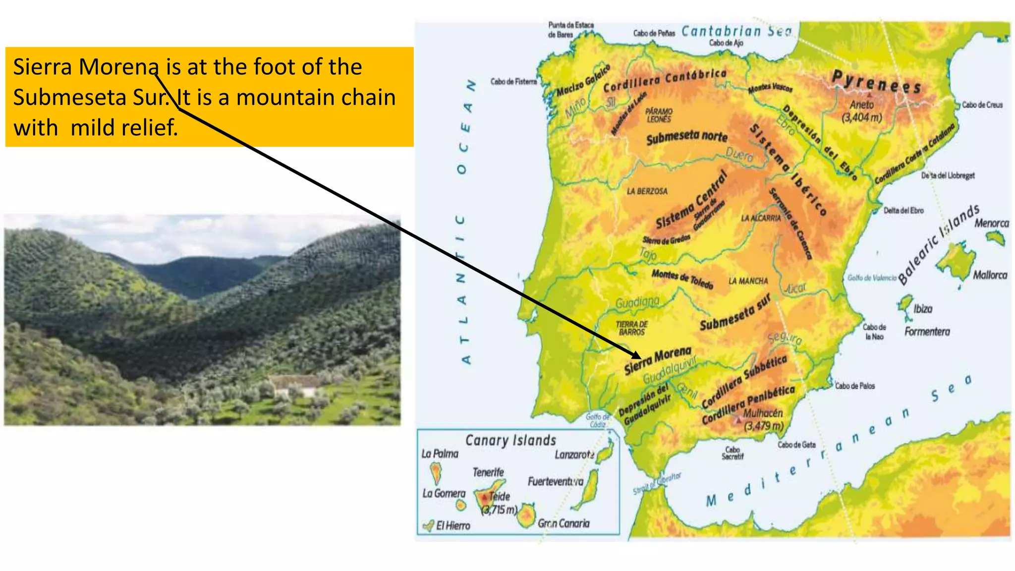 Sierra Morena is at the foot of the
Submeseta Sur. It is a mountain chain
with mild relief.
 