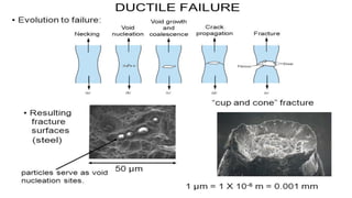 Types of fractures -At a glance with few case studies | PDF