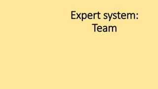 Expert system:
Team
 