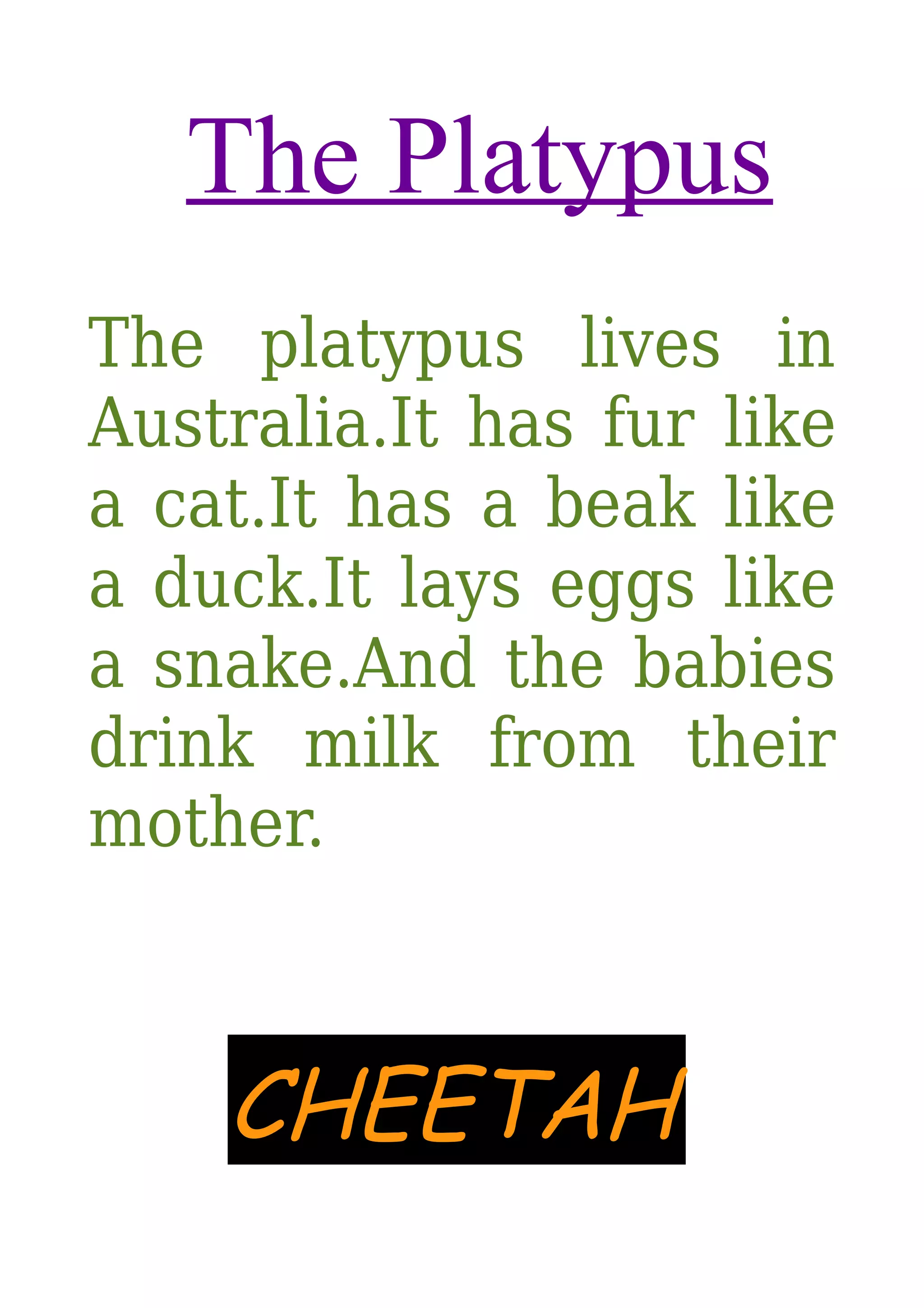 The Platypus
The platypus lives in
Australia.It has fur like
a cat.It has a beak like
a duck.It lays eggs like
a snake.And the babies
drink milk from their
mother.

CHEETAH

 