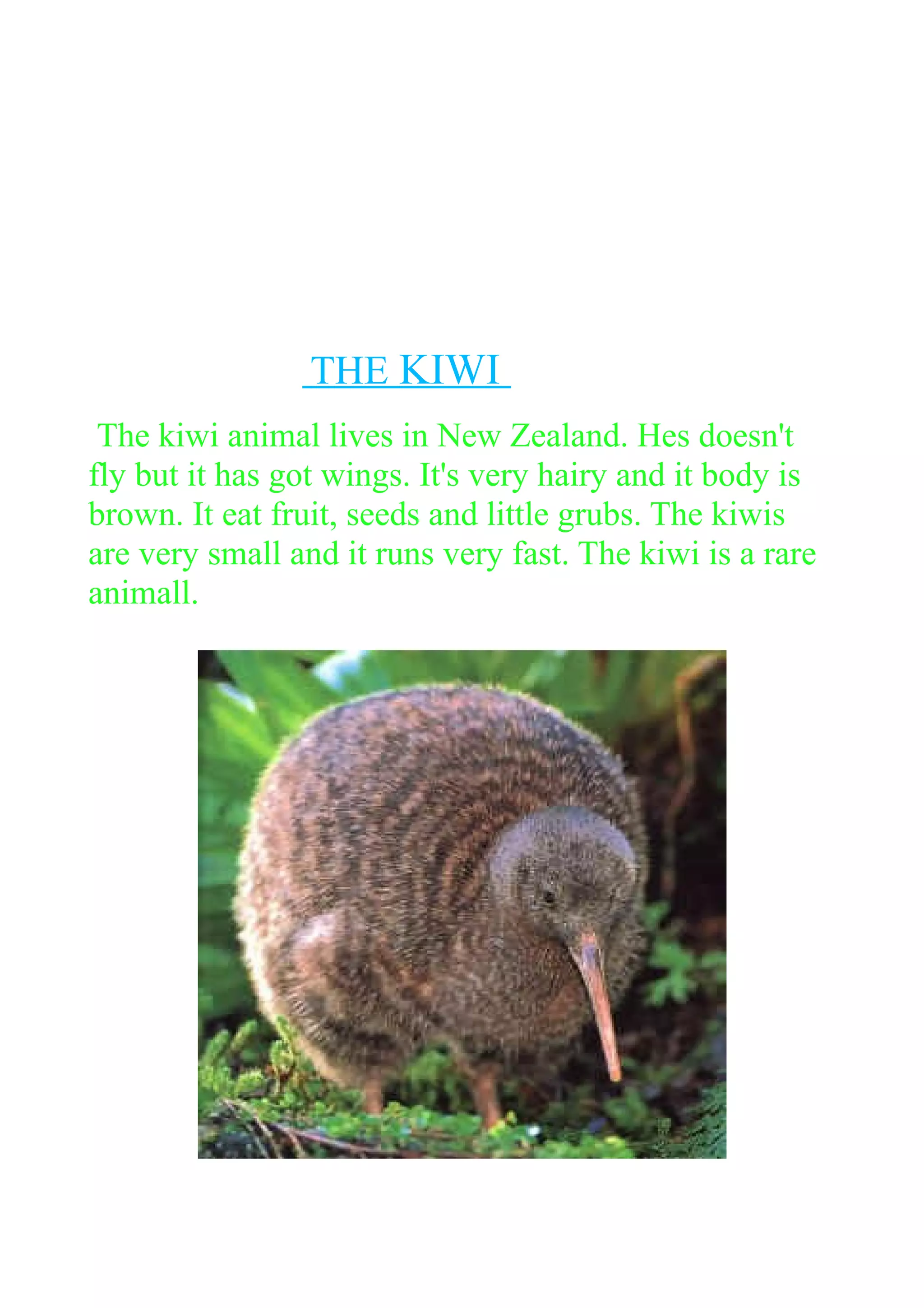 THE KIWI
The kiwi animal lives in New Zealand. Hes doesn't
fly but it has got wings. It's very hairy and it body is
brown. It eat fruit, seeds and little grubs. The kiwis
are very small and it runs very fast. The kiwi is a rare
animall.

 