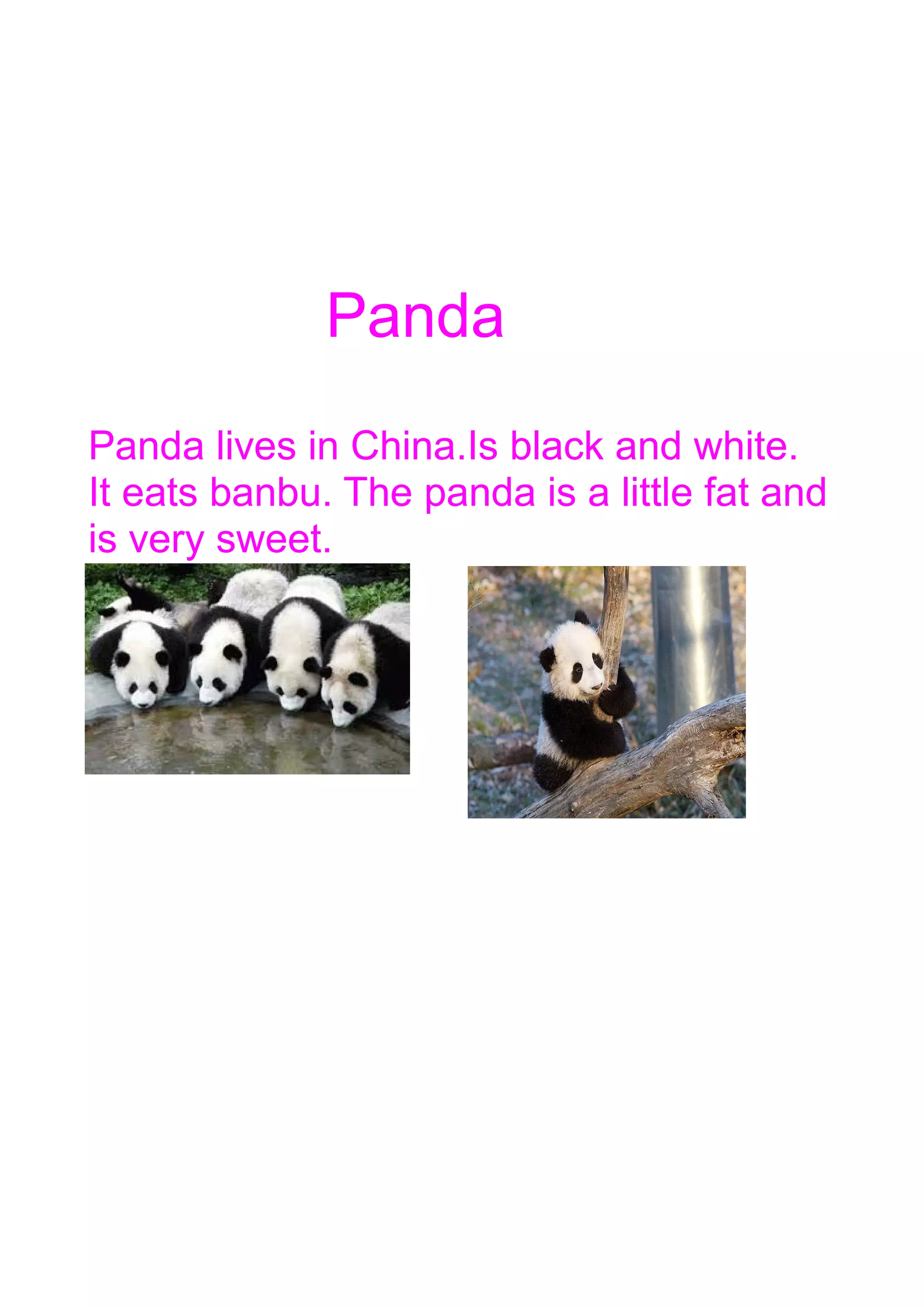 Panda
Panda lives in China.Is black and white.
It eats banbu. The panda is a little fat and
is very sweet.

 