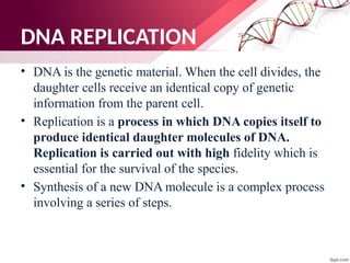 DNA REPLICATION
• DNA is the genetic material. When the cell divides, the
daughter cells receive an identical copy of genetic
information from the parent cell.
• Replication is a process in which DNA copies itself to
produce identical daughter molecules of DNA.
Replication is carried out with high fidelity which is
essential for the survival of the species.
• Synthesis of a new DNA molecule is a complex process
involving a series of steps.
 