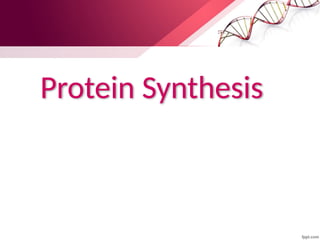 Protein Synthesis
 