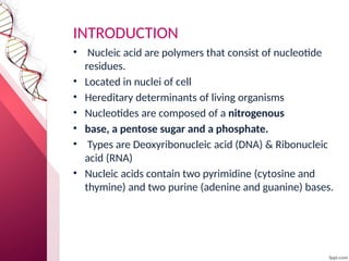 INTRODUCTION
• Nucleic acid are polymers that consist of nucleotide
residues.
• Located in nuclei of cell
• Hereditary determinants of living organisms
• Nucleotides are composed of a nitrogenous
• base, a pentose sugar and a phosphate.
• Types are Deoxyribonucleic acid (DNA) & Ribonucleic
acid (RNA)
• Nucleic acids contain two pyrimidine (cytosine and
thymine) and two purine (adenine and guanine) bases.
 