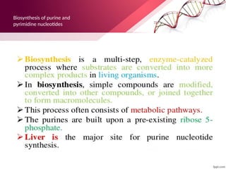 Biosynthesis of purine and
pyrimidine nucleotides
 