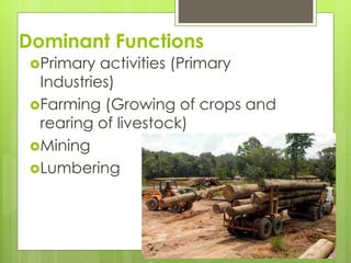 Dominant Functions 
Primary activities (Primary 
Industries) 
Farming (Growing of crops and 
rearing of livestock) 
Mining 
Lumbering 
 
