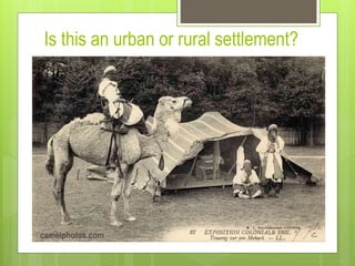 Is this an urban or rural settlement? 
 
