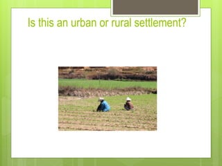 Is this an urban or rural settlement? 
 