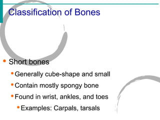 Unit 4Skeletal System.ppt Unit 4Skeletal System.ppt