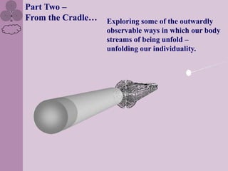 Part Two –
From the Cradle…   Exploring some of the outwardly
                   observable ways in which our body
                   streams of being unfold –
                   unfolding our individuality.
 