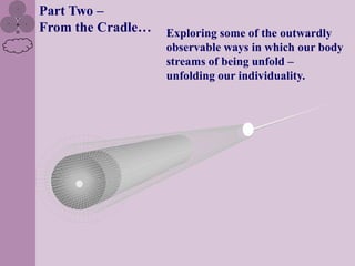 Part Two –
From the Cradle…   Exploring some of the outwardly
                   observable ways in which our body
                   streams of being unfold –
                   unfolding our individuality.
 