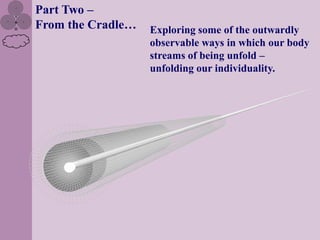 Part Two –
From the Cradle…   Exploring some of the outwardly
                   observable ways in which our body
                   streams of being unfold –
                   unfolding our individuality.
 