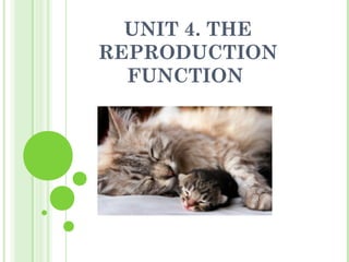 UNIT 4. THE
REPRODUCTION
FUNCTION
 