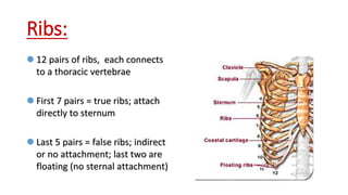 Unit 4 the skeletal system | PPTX